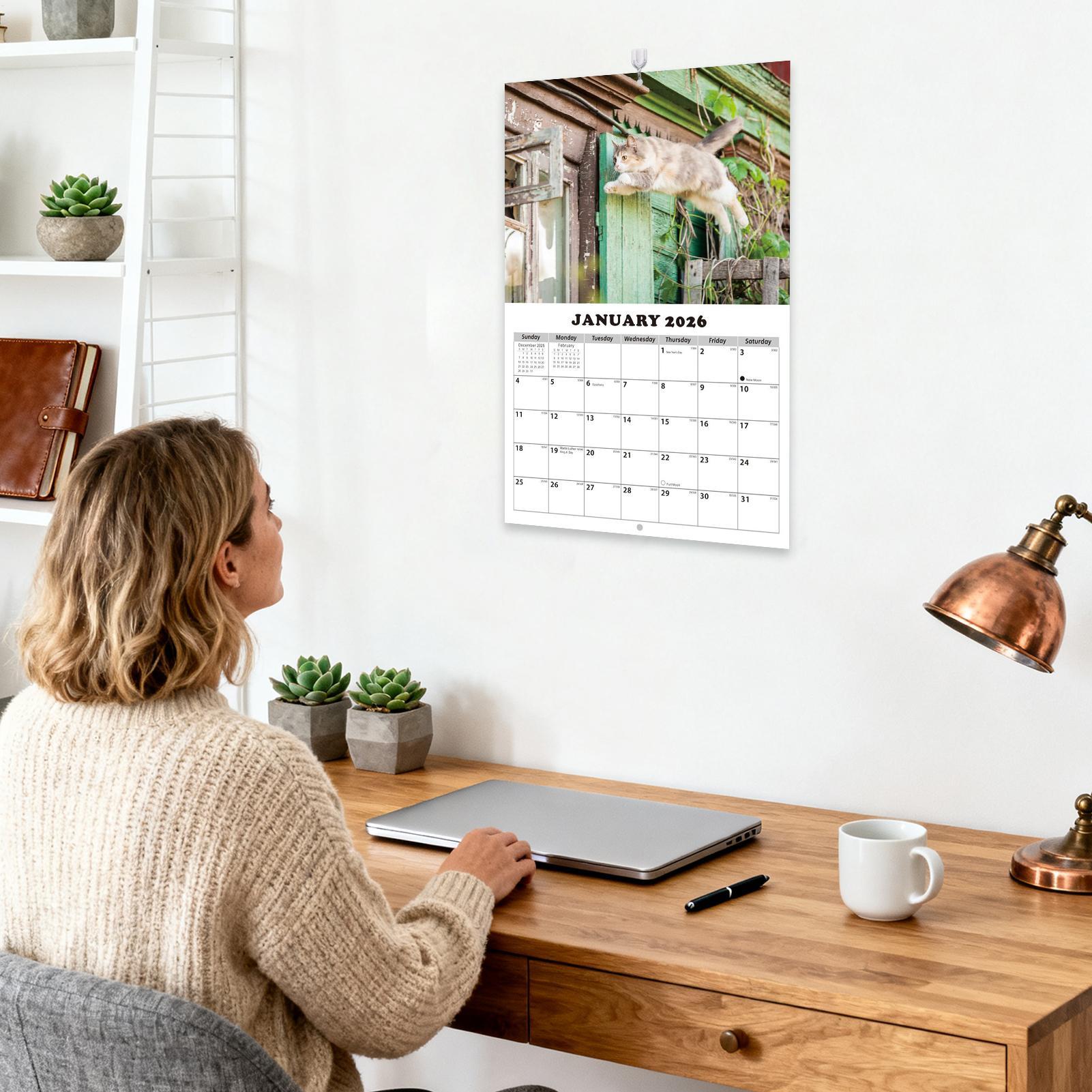 2026 Cat English Wall Calendar - огляд і ціна English Home Office