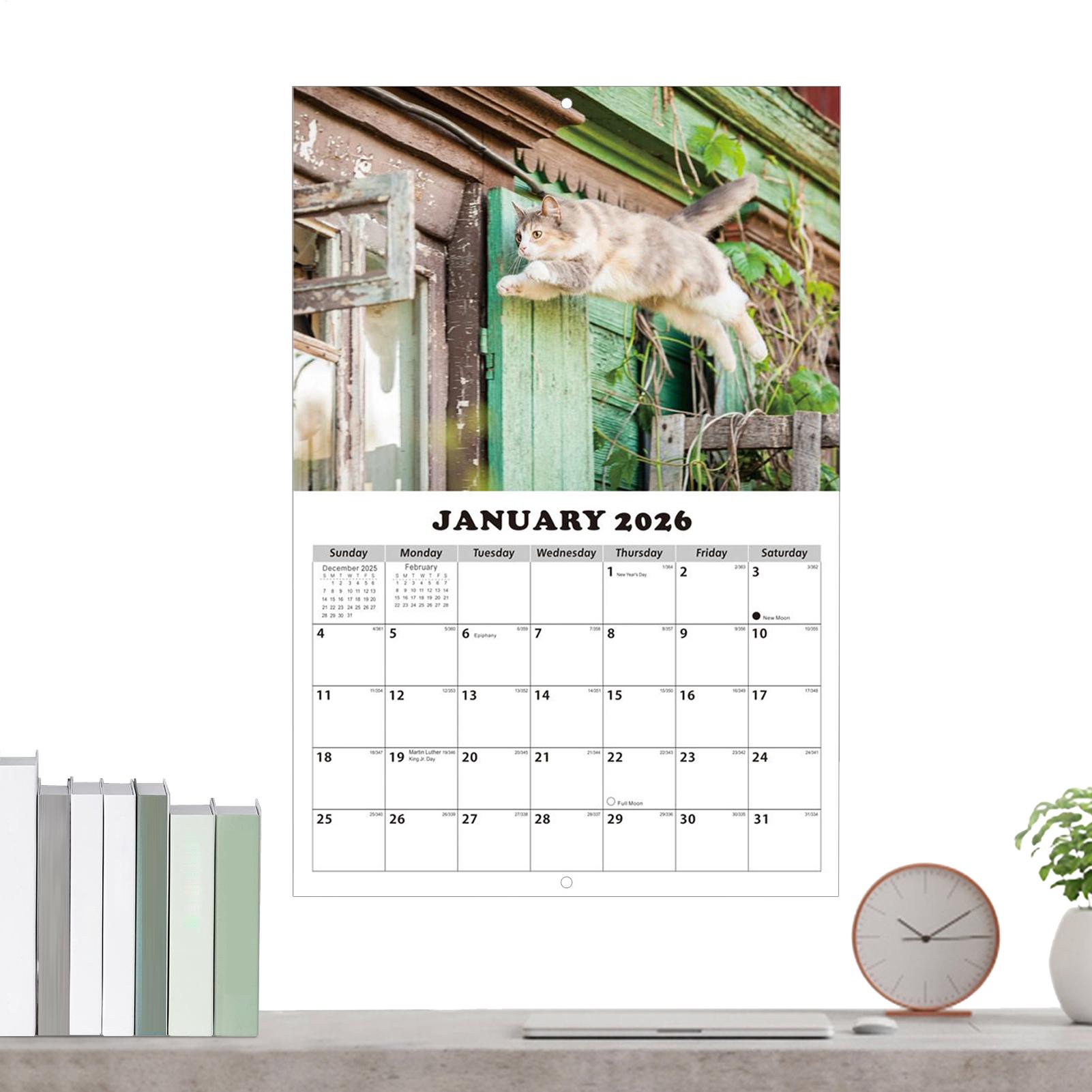2026 Cat English Wall Calendar - огляд і ціна English Home Office