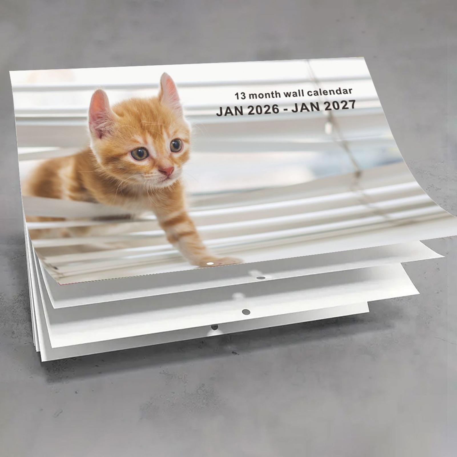 2026 Cat English Wall Calendar - огляд і ціна English Home Office