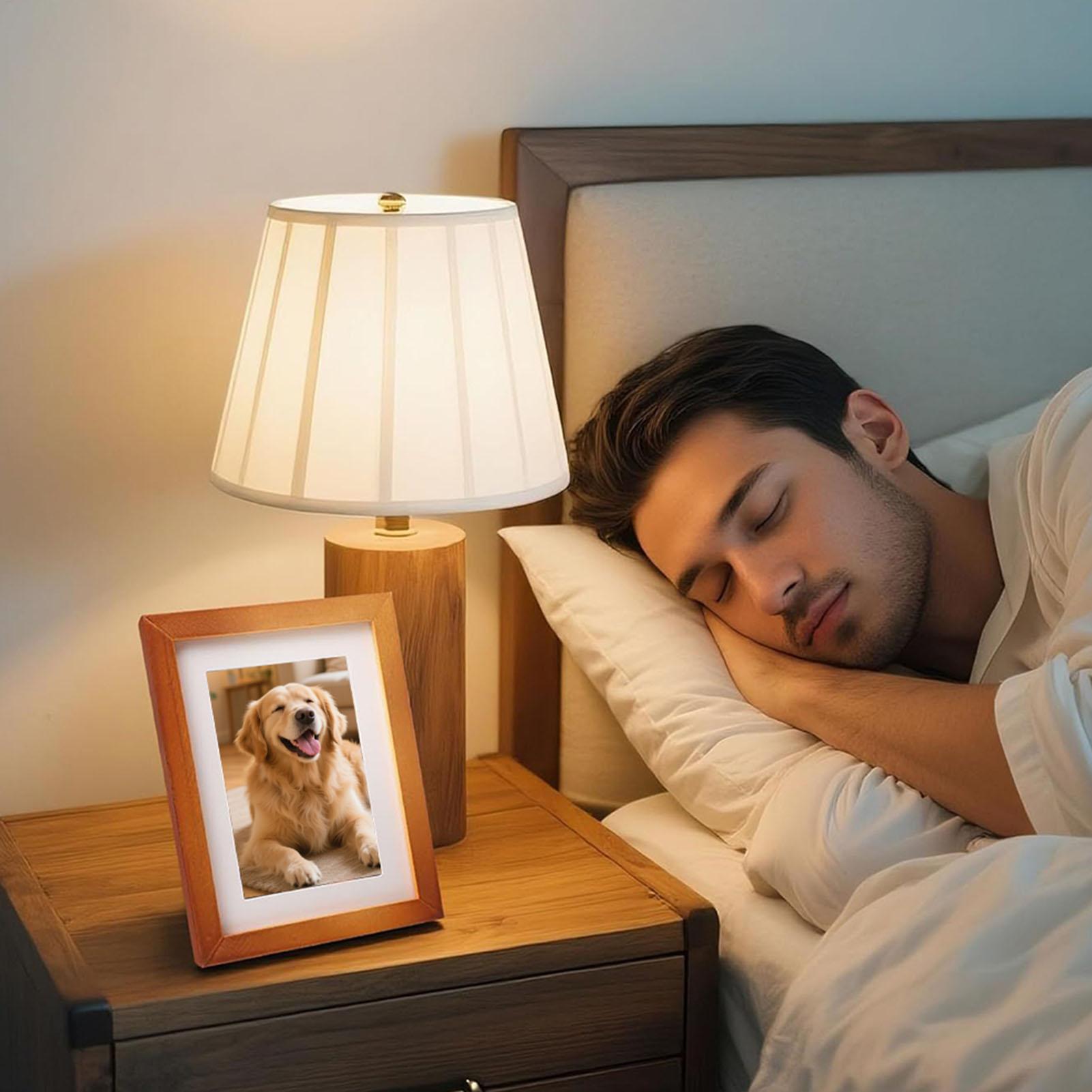 Portable Photo Frame Spacious  - огляд і ціна Home Office Passport